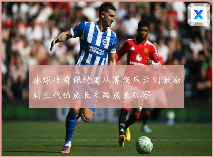 冰球传奇佩特里从赛场风云到激励新生代的成长之路成长观察