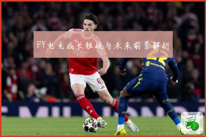 FY电竞成长轨迹与未来前景解析