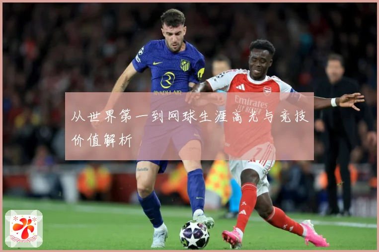 从世界第一到网球生涯高光与竞技价值解析