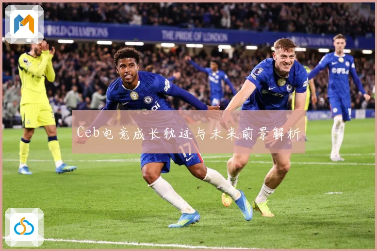 Ceb电竞成长轨迹与未来前景解析
