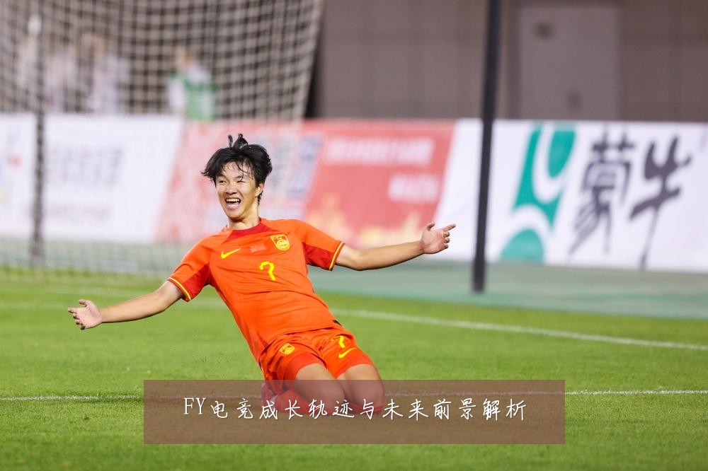 FY电竞成长轨迹与未来前景解析