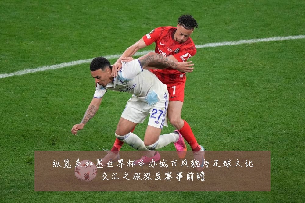 纵览美加墨世界杯举办城市风貌与足球文化交汇之旅深度赛事前瞻