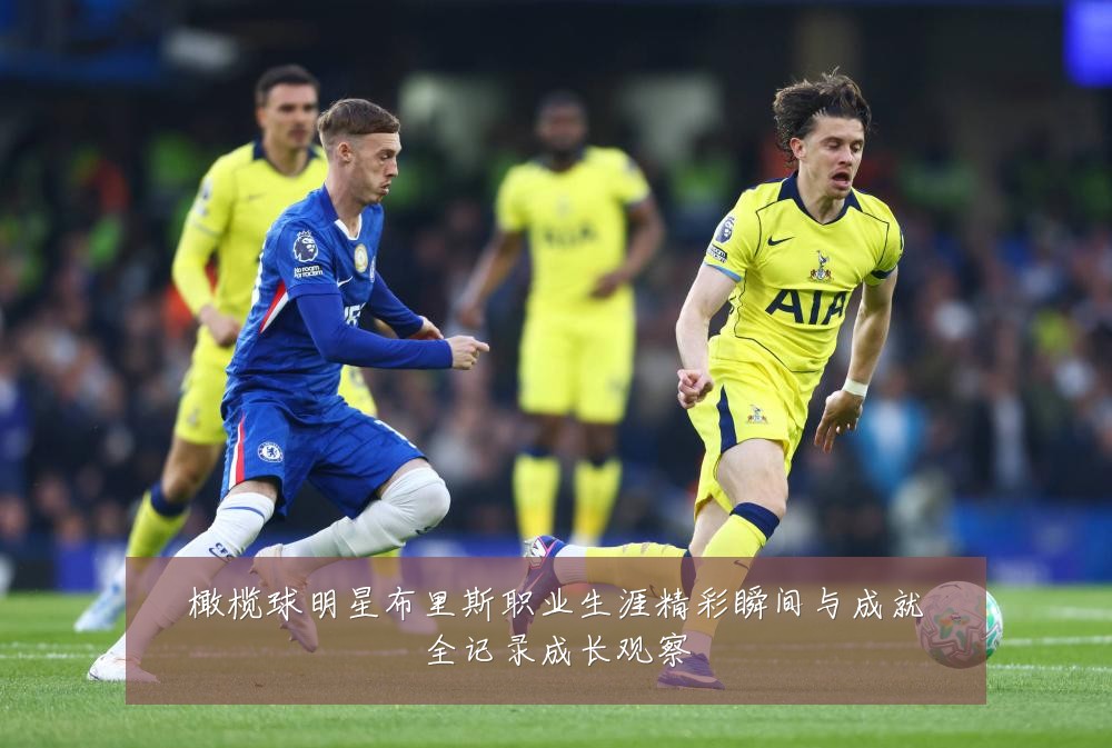 橄榄球明星布里斯职业生涯精彩瞬间与成就全记录成长观察
